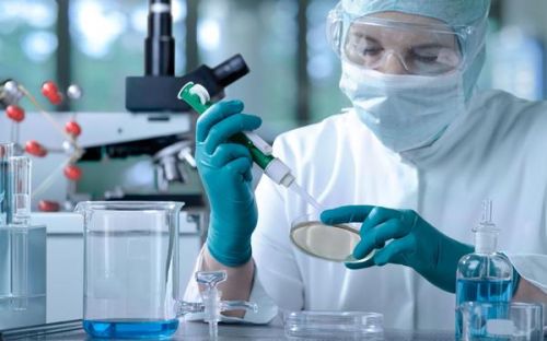  如何判斷91香蕉视频污版器的性能優劣