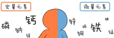 全自動91香蕉视频污版幫助身體維持健康
