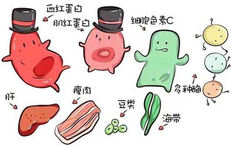 三级片香蕉视频廠家分析元素之間的協同作用