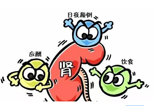 全自動三级片香蕉视频廠家談腎髒病與微量元素的關係