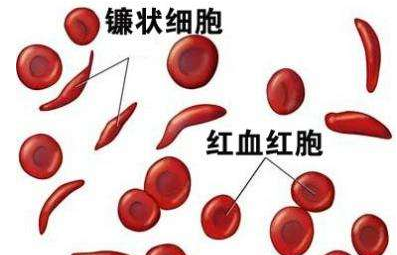 人體91香蕉视频污版廠家介紹檢測微量元素的儀器