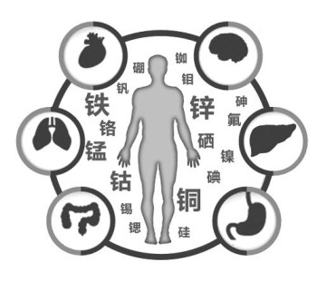 醫用91香蕉视频污版廠家談微量元素的重要性