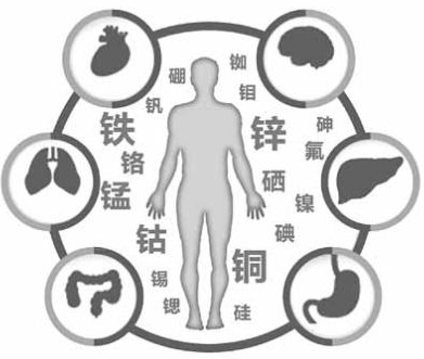 醫用91香蕉视频污版為香蕉影院在线观看的健康提供了保障