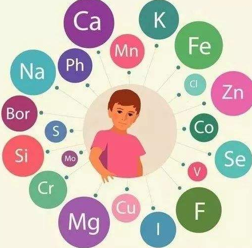 三级片香蕉视频廠家提醒補充微量元素的注意事項