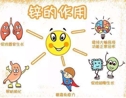 2020新款GK-191香蕉视频污版品牌香蕉影院在线观看剖析容易缺鋅的兒童類型