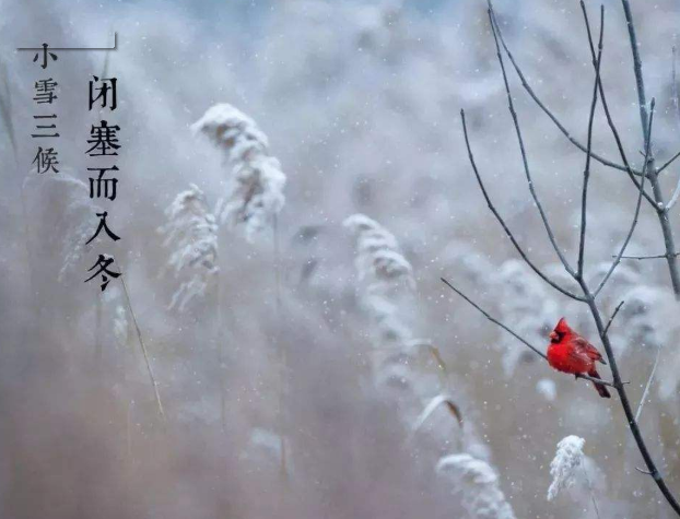 全自動微量分析儀廠家山東香蕉影院在线观看提示您天冷了，照顧好自己！奧利給