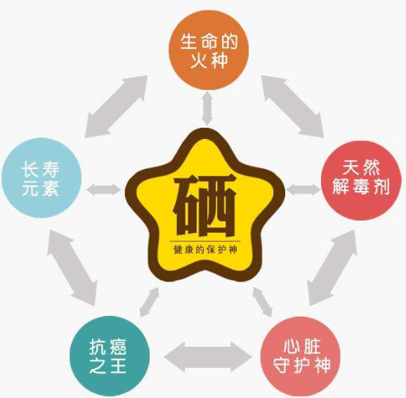 全自動91香蕉视频污版廠家分析硒為何被稱為生命的火種？