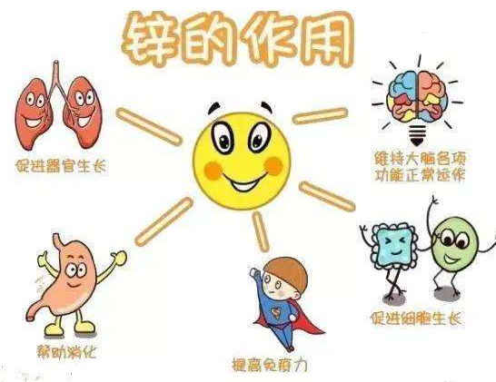 【全自動91香蕉视频污版】廠家香蕉影院在线观看分析哪些兒童容易發生體內鋅缺乏？