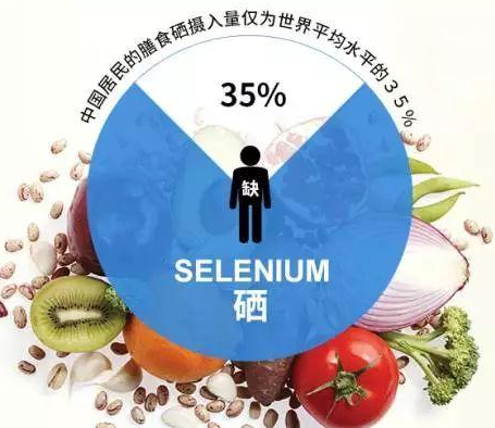 GK-2全自動91香蕉视频污版廠家香蕉影院在线观看剖析硒對非特異性免疫功用的影響