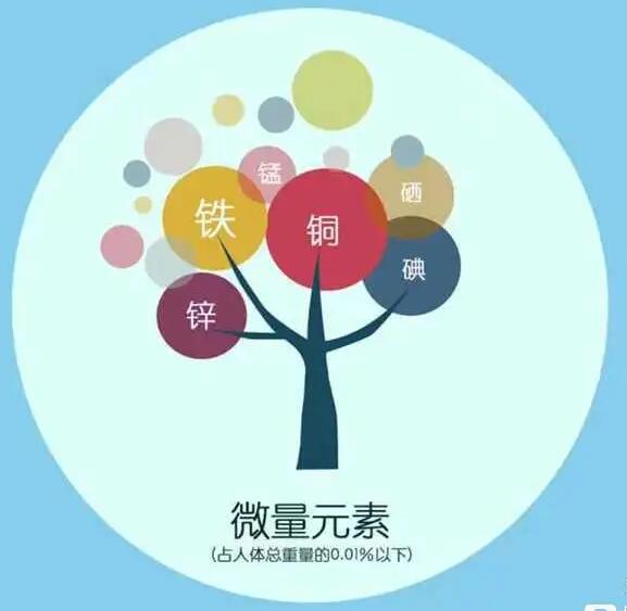 人體91香蕉视频污版廠家哪家好