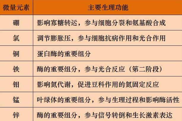 山東聊城全自動血鉛檢測儀一體機：微量元素的主要作用8.20